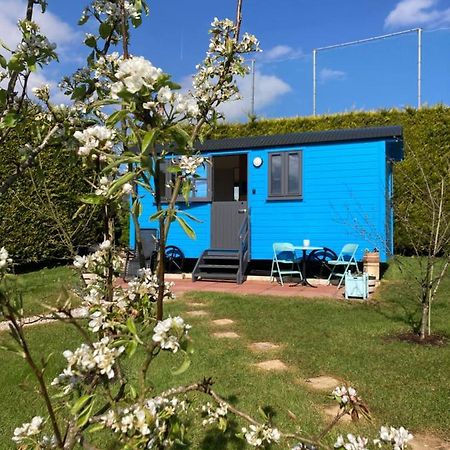 Atlantic Way Shepherd Hut Moville Extérieur photo