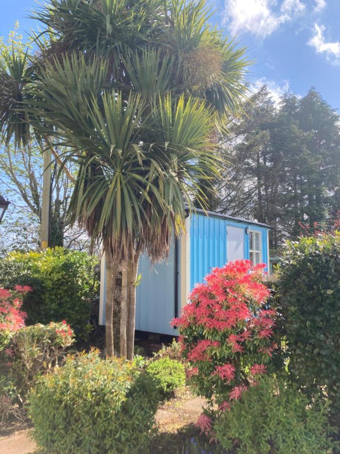 Atlantic Way Shepherd Hut Moville Extérieur photo